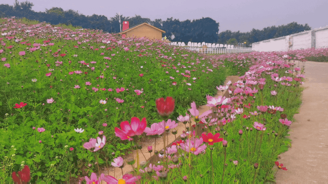 盘点中国最好玩的农家乐,回归田园,享受生活2