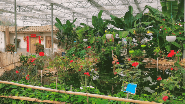 盘点中国最好玩的农家乐,回归田园,享受生活3