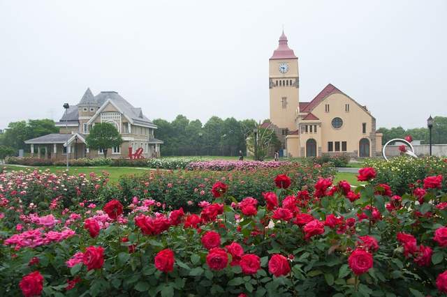 盘点中国最好玩的农家乐,回归田园,享受生活4