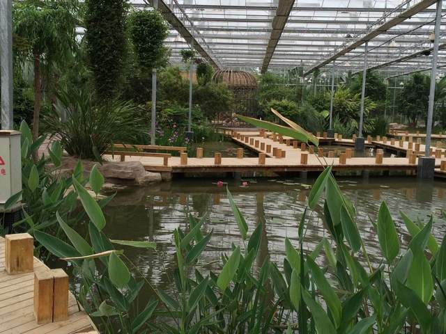 盘点中国最好玩的农家乐,回归田园,享受生活5