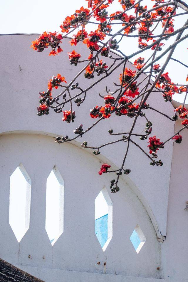 广这座广州最早的铁桥,名气很大,却有很多人在此跳桥5