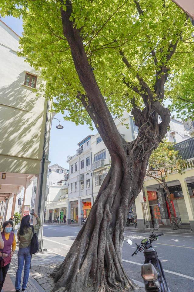 广州最后的老西关气息，建筑争议良久，最后幸运保存1