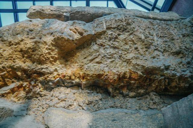 广州市中心的西汉王墓，不收门票，夏天近来都凉飕飕12