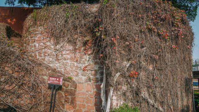 广州市中心的西汉王墓，不收门票，夏天近来都凉飕飕25