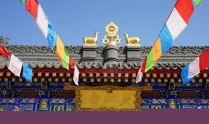 西安有座皇家寺庙,春光太美了!人少免费,地铁可达2