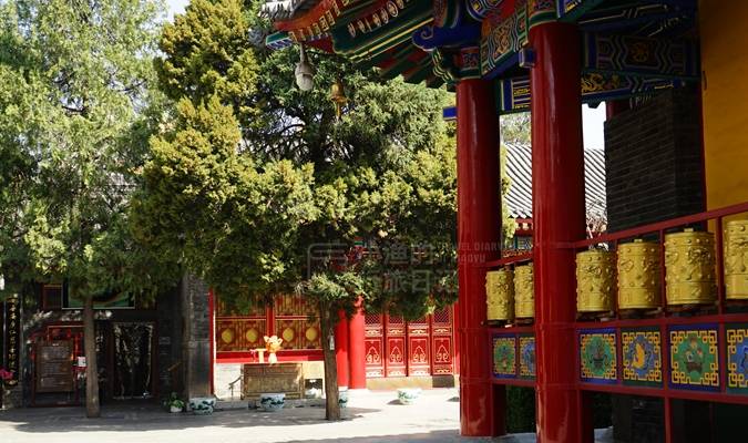 西安有座皇家寺庙,春光太美了!人少免费,地铁可达4