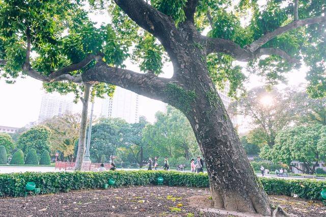 这个地方景色真的太美了,广州建筑的瑰宝,你还没看过吗?14