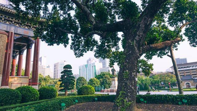 这个地方景色真的太美了,广州建筑的瑰宝,你还没看过吗?18