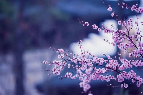 南京周边春季自驾游去哪里好玩3