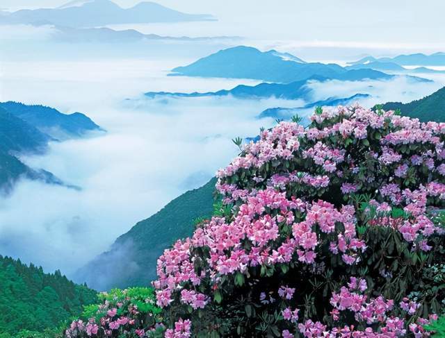 玄妙道境 海上仙山 | 一场寻仙访道之旅2