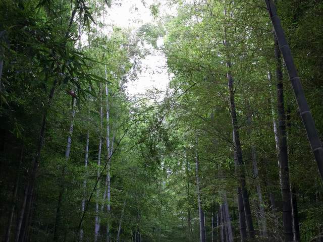 玄妙道境 海上仙山 | 一场寻仙访道之旅3