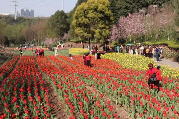 重庆周末一日游好去处春季2