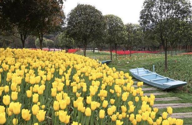 重庆周末一日游好去处春季3