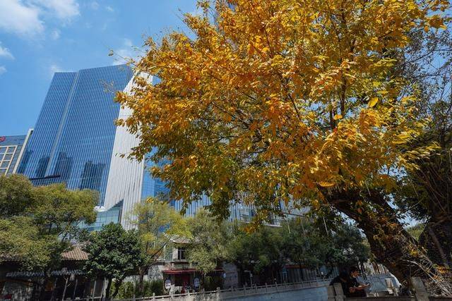 高端又复古?广州高楼夹杂下的温柔水乡,这样的好去处你知道吗?13