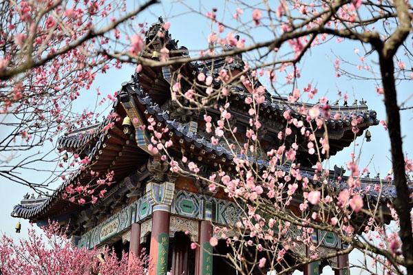 南京适合爬山的六大好去处1