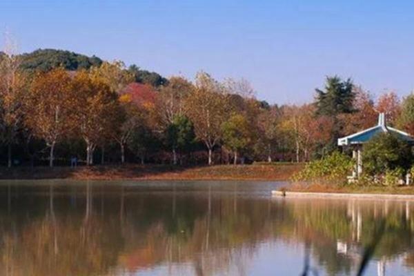 芜湖自驾游玩景点推荐1