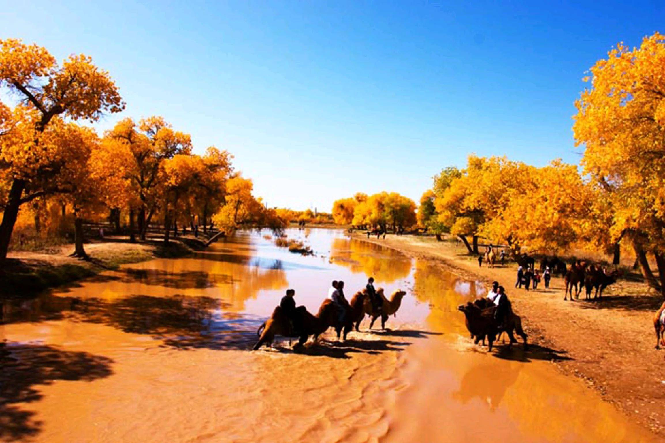 我国“最长”的省份:相当于从北京到三亚,跨越了5个气候带7