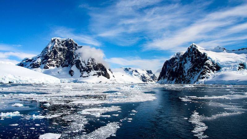 南极曾是茂密雨林?如今的地球气候,南极还能维持多久?4