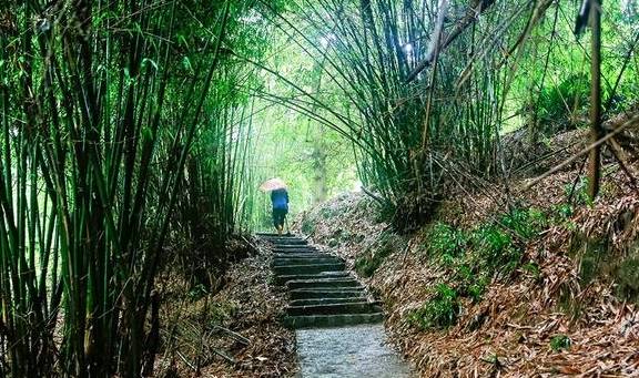 忠县皇华城：人文历史厚重 生态环境和谐2