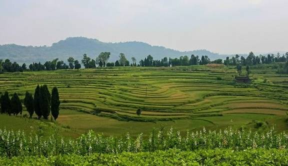 忠县皇华城：人文历史厚重 生态环境和谐4