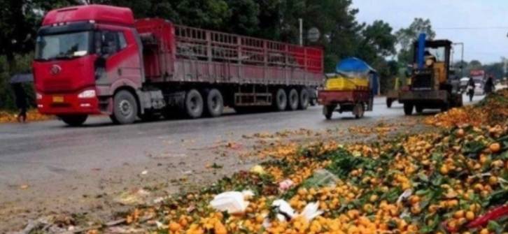 为“讨口饭吃”,私自将2700辆货车驶向我国,中方:请原路返回4