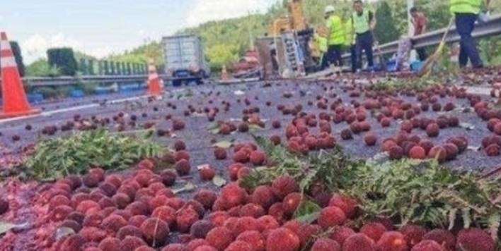 为“讨口饭吃”,私自将2700辆货车驶向我国,中方:请原路返回5