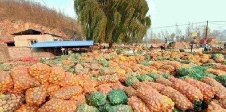 为“讨口饭吃”,私自将2700辆货车驶向我国,中方:请原路返回6