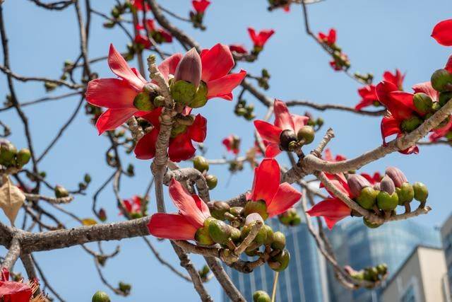 广州最壕祠堂,曾经有个地产商想买他们的土地,结果反被村民……11