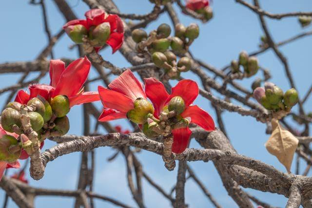 广州最壕祠堂,曾经有个地产商想买他们的土地,结果反被村民……12