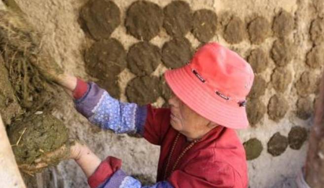 欲将“牛粪饼”出口至我国，2盒仅需60元，印民：一定会热销1