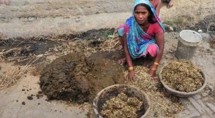 欲将“牛粪饼”出口至我国，2盒仅需60元，印民：一定会热销2