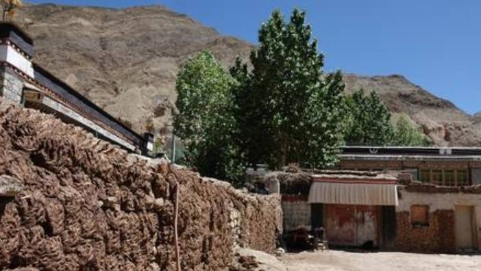 欲将“牛粪饼”出口至我国，2盒仅需60元，印民：一定会热销5