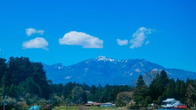 日本这个地方,到了春天满街都是樱花,太浪漫了吧1