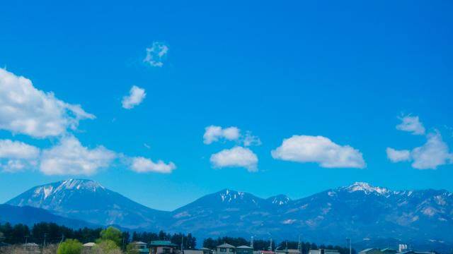 日本这个地方,到了春天满街都是樱花,太浪漫了吧5