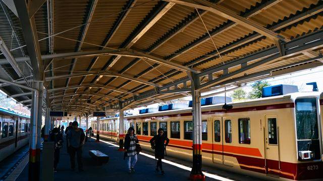 日本这个地方,到了春天满街都是樱花,太浪漫了吧6