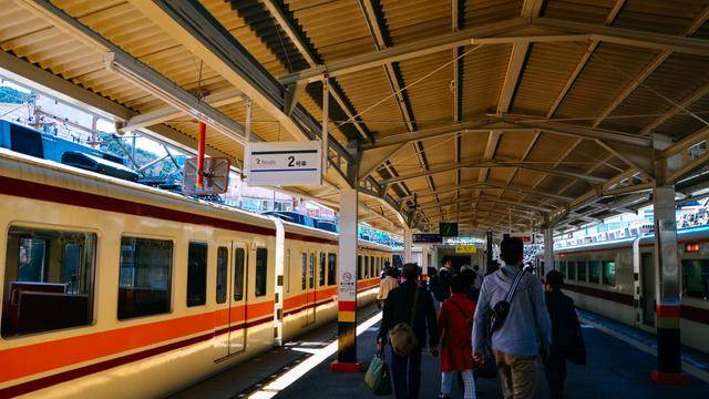 日本这个地方,到了春天满街都是樱花,太浪漫了吧7