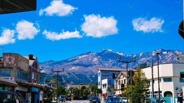 日本这个地方,到了春天满街都是樱花,太浪漫了吧14