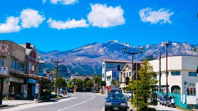日本这个地方,到了春天满街都是樱花,太浪漫了吧15