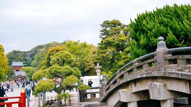 鹤岗八幡宫,镰仓地标建筑物,十分古朴4