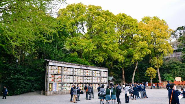 鹤岗八幡宫,镰仓地标建筑物,十分古朴5