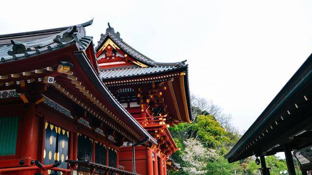 鹤岗八幡宫,镰仓地标建筑物,十分古朴11
