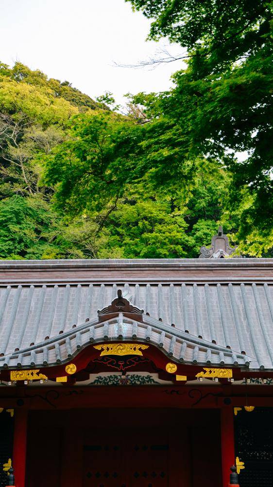 鹤岗八幡宫,镰仓地标建筑物,十分古朴15