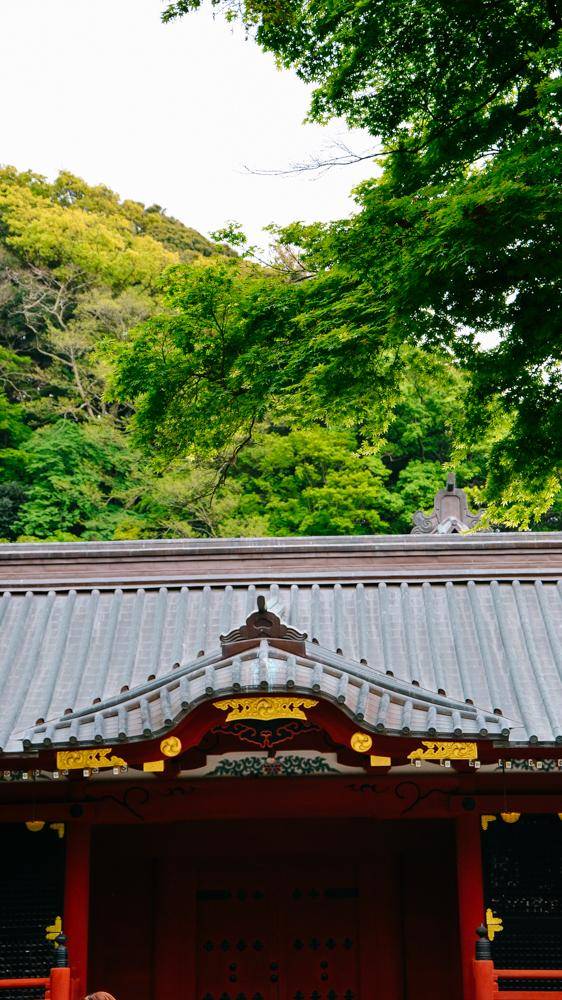 鹤岗八幡宫,镰仓地标建筑物,十分古朴16