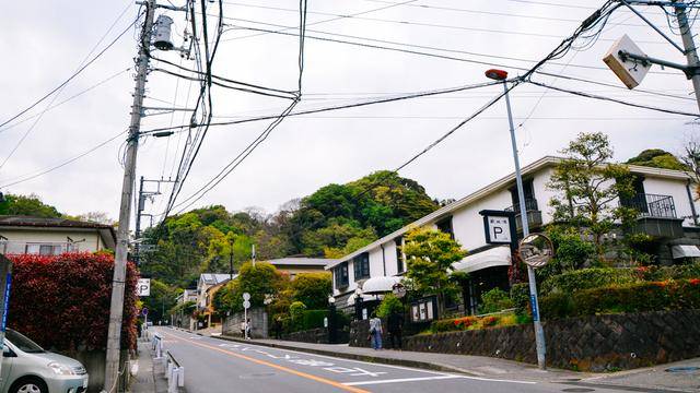 鹤岗八幡宫,镰仓地标建筑物,十分古朴19