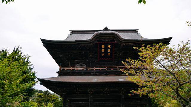 鹤岗八幡宫,镰仓地标建筑物,十分古朴24