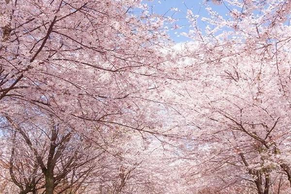 春季贵阳及周边好玩的地方有哪些1