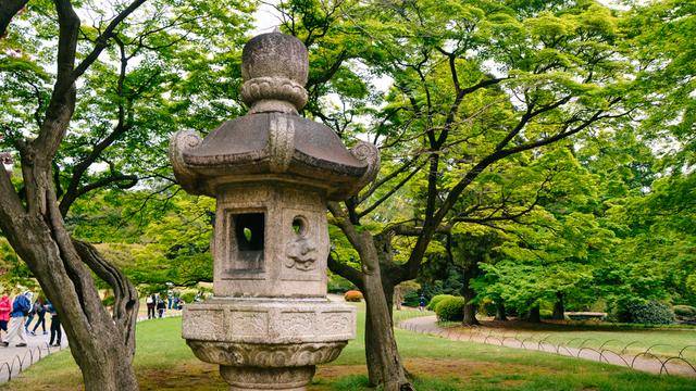 日本中心地区还有这么大片樱花林?这也太美了吧,绿意盎然4