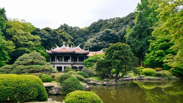 日本中心地区还有这么大片樱花林?这也太美了吧,绿意盎然6