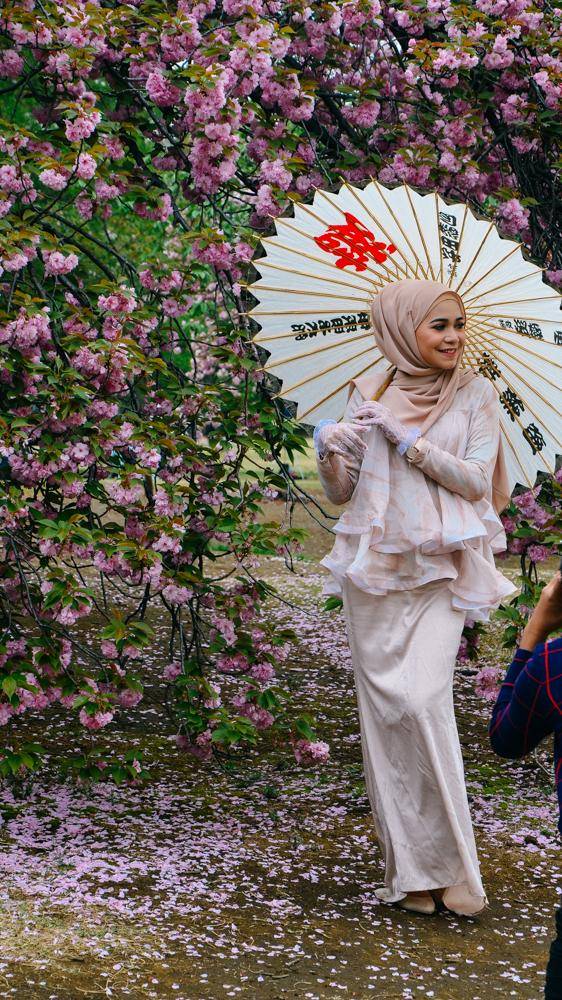 日本中心地区还有这么大片樱花林?这也太美了吧,绿意盎然16