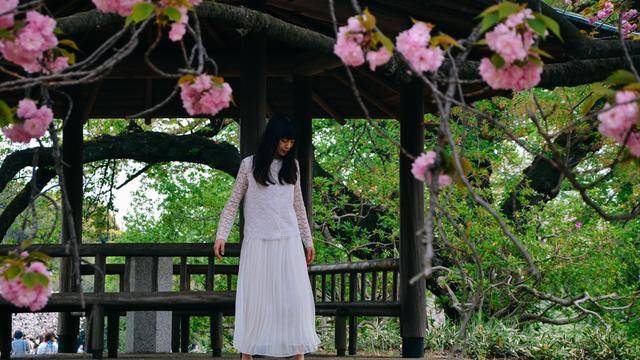 日本中心地区还有这么大片樱花林?这也太美了吧,绿意盎然17